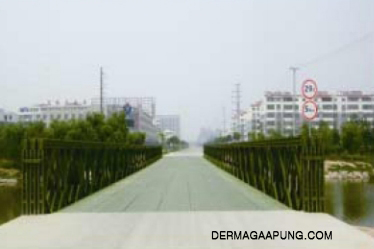 Bailey bridge (CB-200, Double-lanes)to the construction bureau,guan country