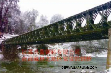 Bailey bridge at nyingchi city, tibet