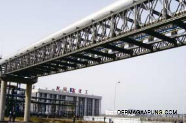 Bailey bridge(pipe galery-type,CB-200, 51,816m long, DSR)