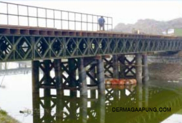 bailey bridge for the high-speed railway img 2